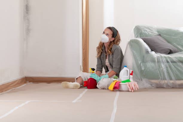 Reliable Commercial Mold Remediation contractor in Glenwood Landing, NY by WQB Mold Removal